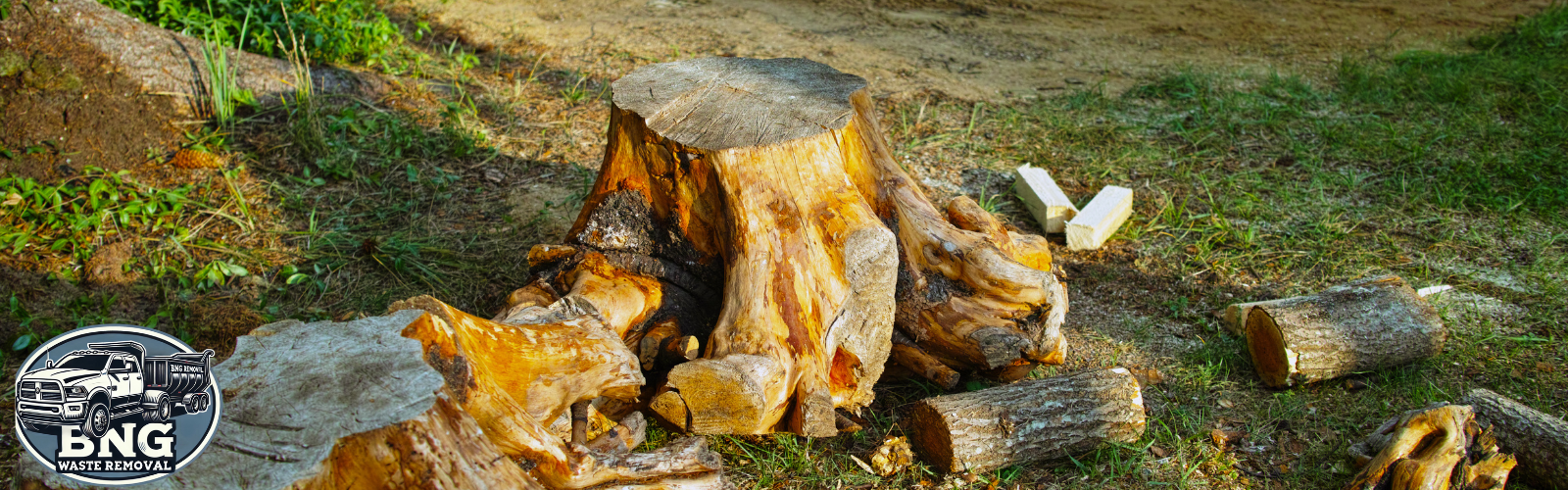 debris removal company lewisville texas